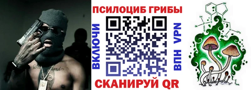 где можно купить   Кизляр  Галлюциногенные грибы Magic Shrooms 
